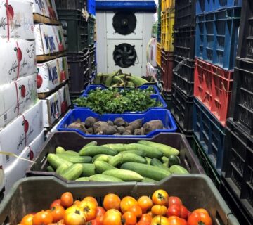 Fruits & Veg