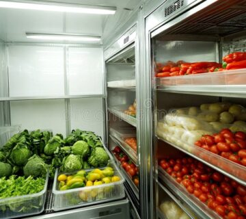 large-fridge-restaurant-kitchen-filled-fresh-vegetables-ideal-cold-storage-freezer-use-industrial-size-346155904