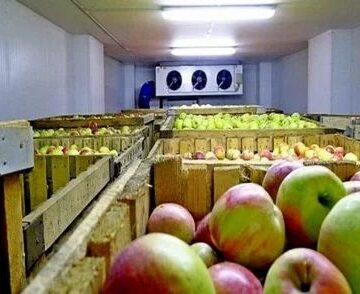 walk-in-chiller-cold-rooms-fruits-vegetables-500x500